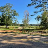 46 Acres in Winston County MS
