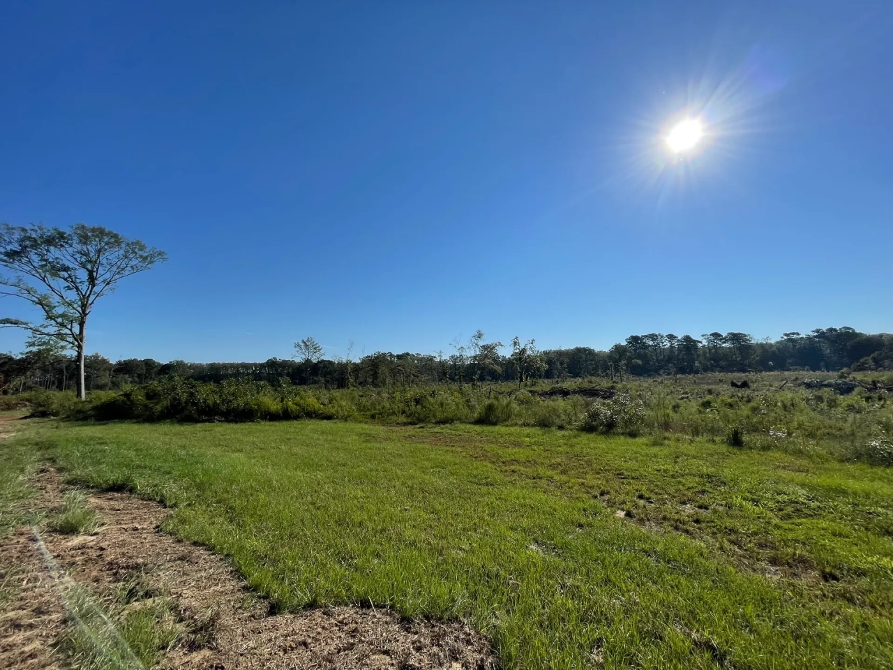 46 Acres in Winston County MS Hunting Land for Sale HuntingLocator