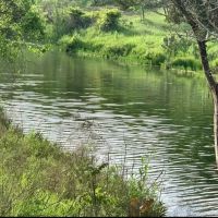 Patterson Creek Ranch images 2