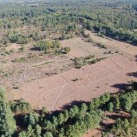 75 - Acres Just Minutes North of Wisconsin Dells