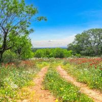 Mason County Twelve Mile Creek Ranch NE of Mason images 4