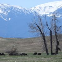 Beartooth Overlook images 4