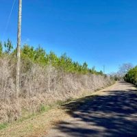 4.6 acres Archie Boyd Road images 2