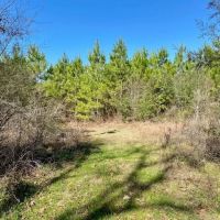 4.6 acres Archie Boyd Road images 3