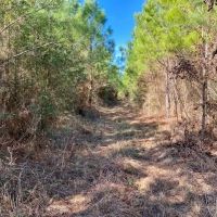 4.6 acres Archie Boyd Road images 4