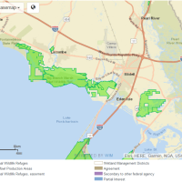 Big Branch Marsh NWR of 18,000 Acres Deer Hunting Land in St. Tammany, LA images 2