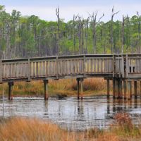 Big Branch Marsh NWR of 18,000 Acres Deer Hunting Land in St. Tammany, LA images 3