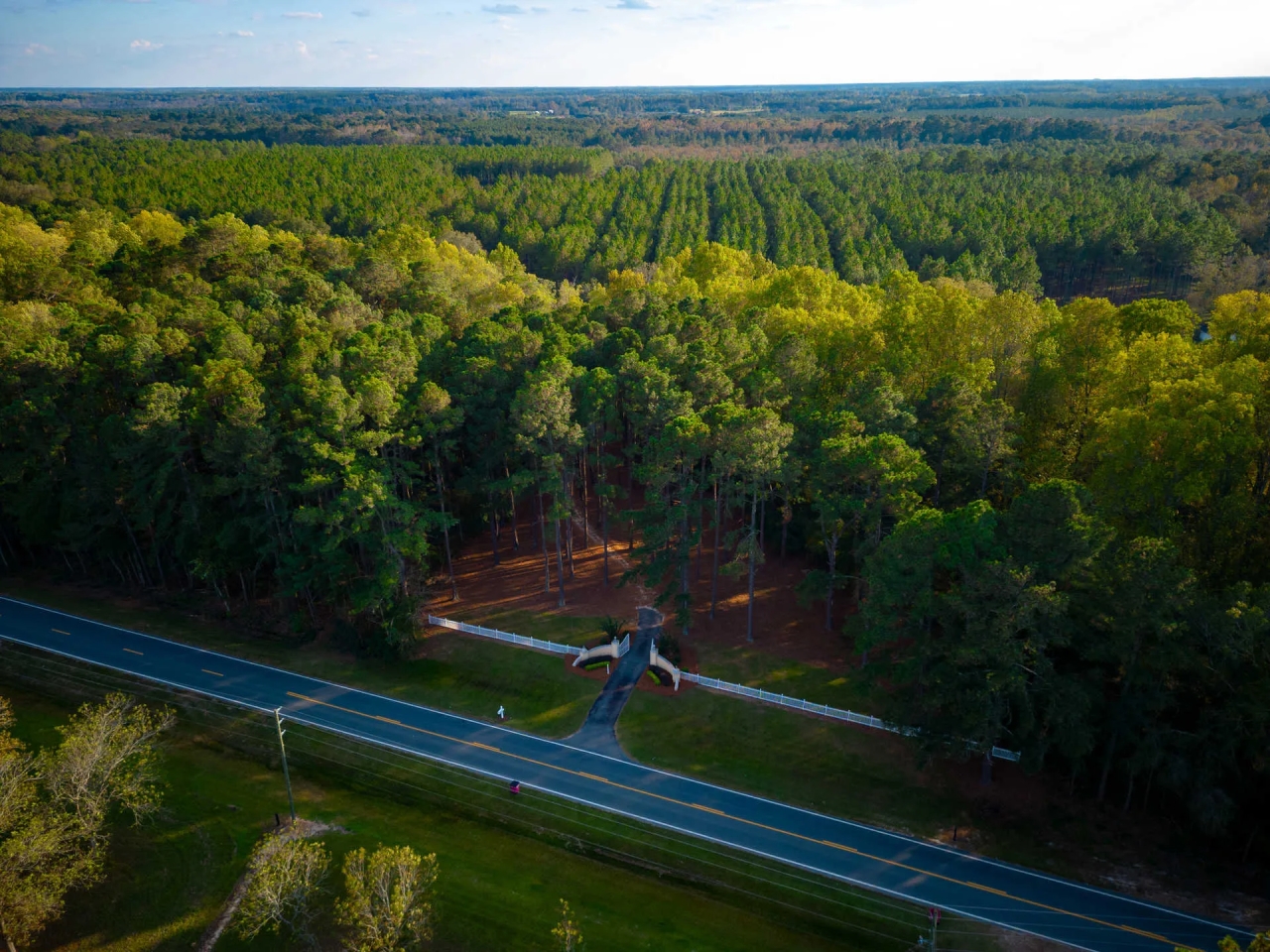 106 Acres on Big Satilla Creek Hunting Land for Sale HuntingLocator