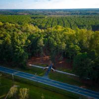 106 Acres on Big Satilla Creek images 5