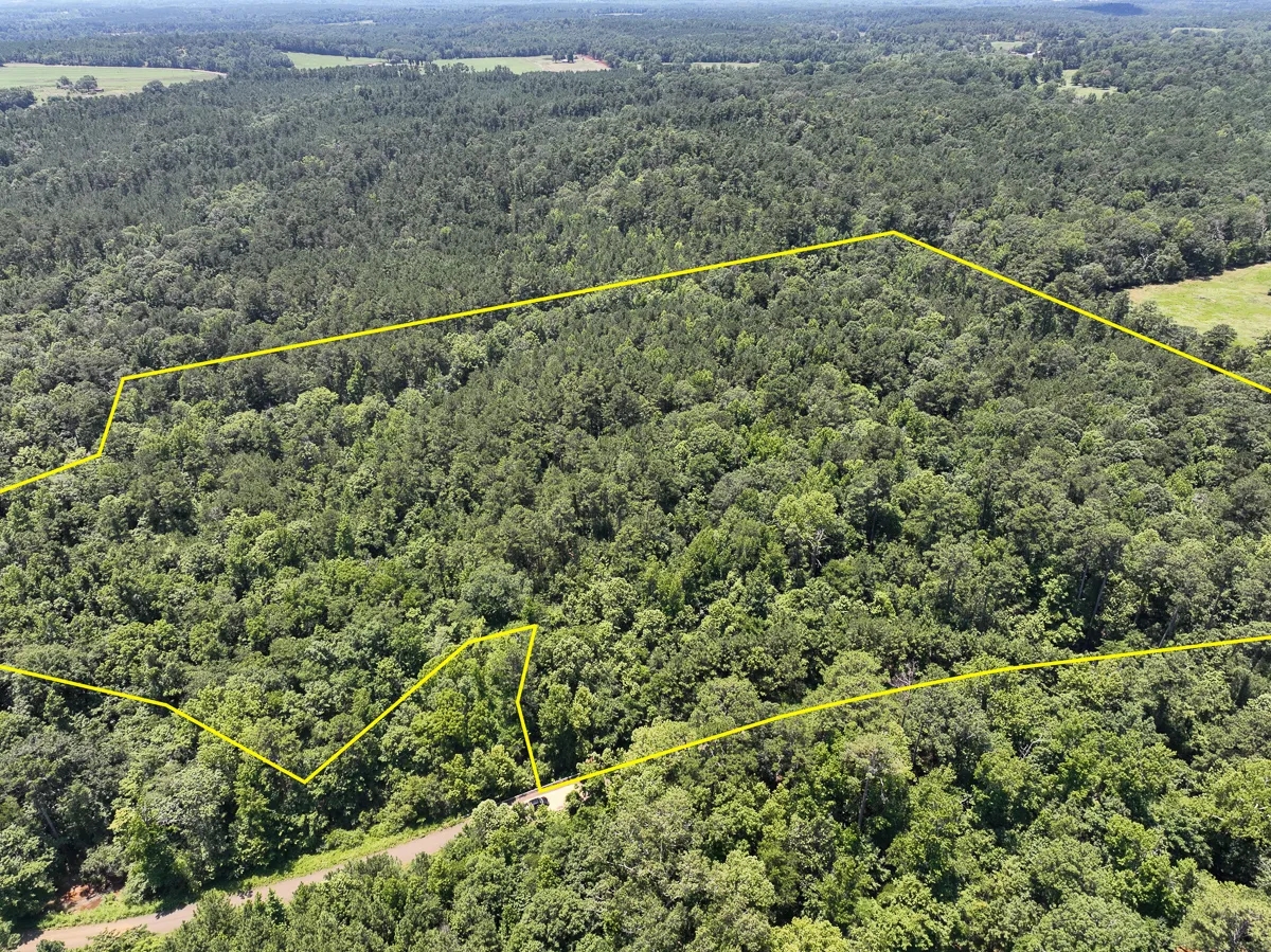 28 Acres T2 Lick Skillet Road Hunting Land for Sale HuntingLocator