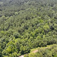 28 Acres T-2 Lick Skillet Road images 3