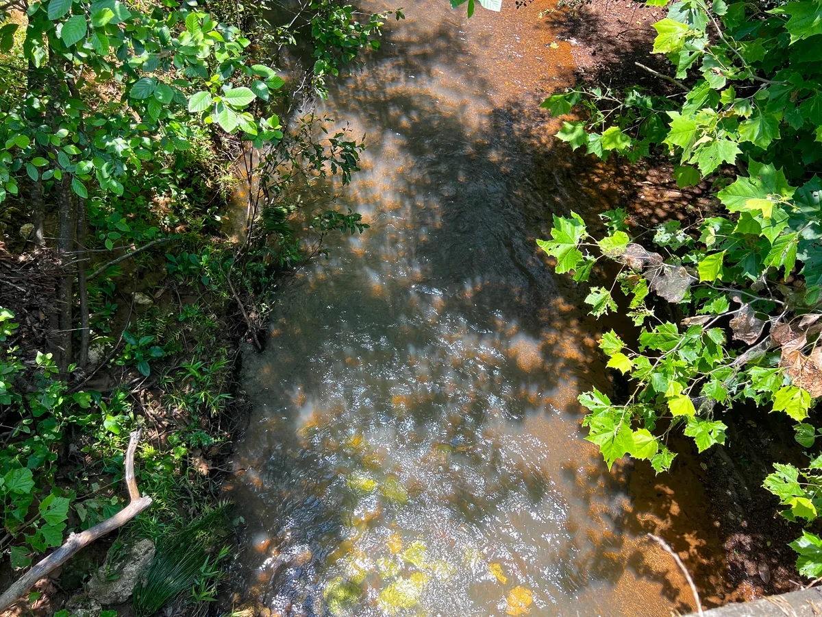 28 Acres T2 Lick Skillet Road Hunting Land for Sale HuntingLocator