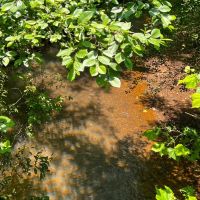 28 Acres T-2 Lick Skillet Road images 5