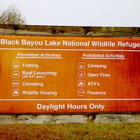 5,300 Acres Waterfowl hunting Black Bayou Lake NWR in Ouachita, LA images 4
