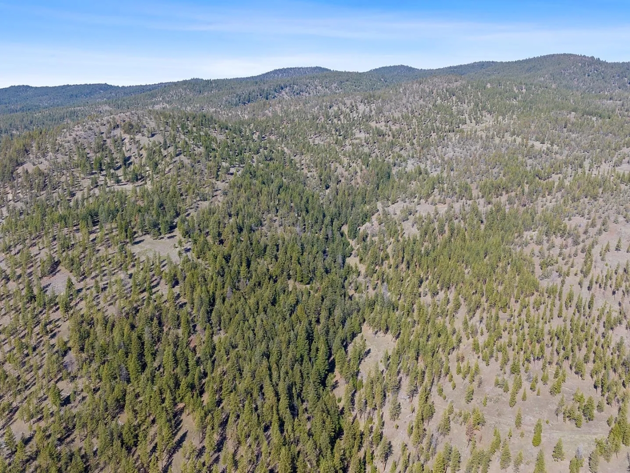 Turner Creek Hideaway Hunting Land for Sale