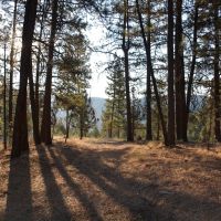 Turner Creek Hideaway images 2