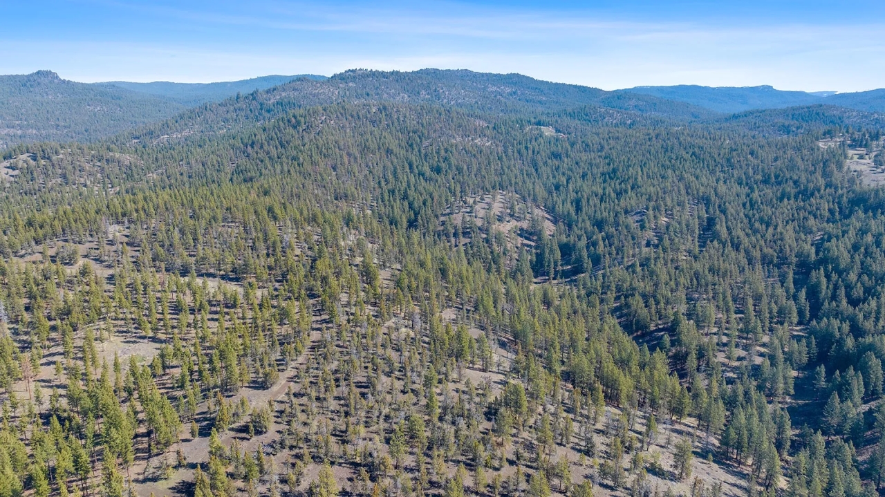 Turner Creek Hideaway Hunting Land for Sale