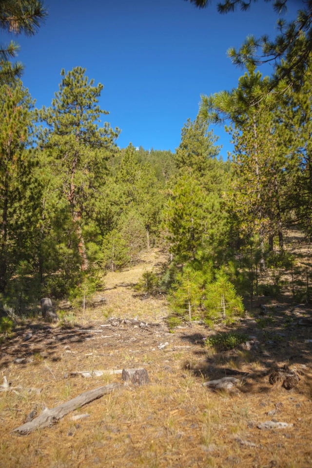 Turner Creek Hideaway Hunting Land for Sale