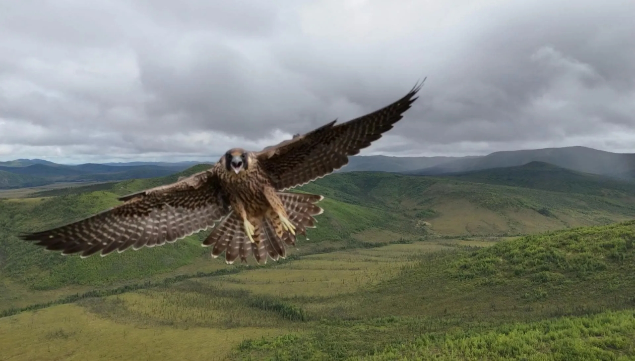 Cripple Creek Gold Mine Hunting Land for Sale