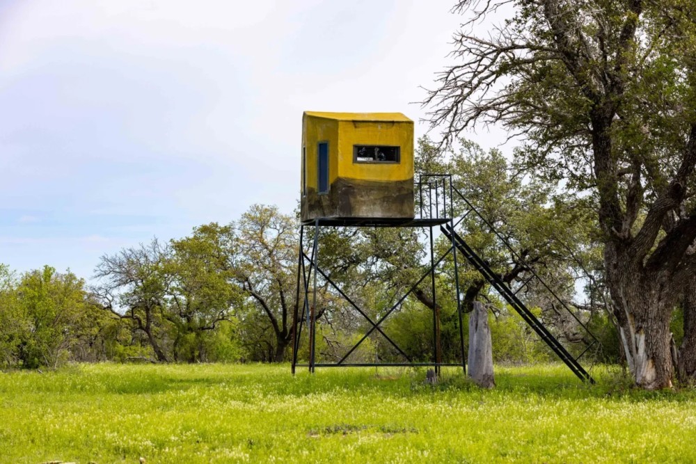 Ford Justeson Ranch featured image