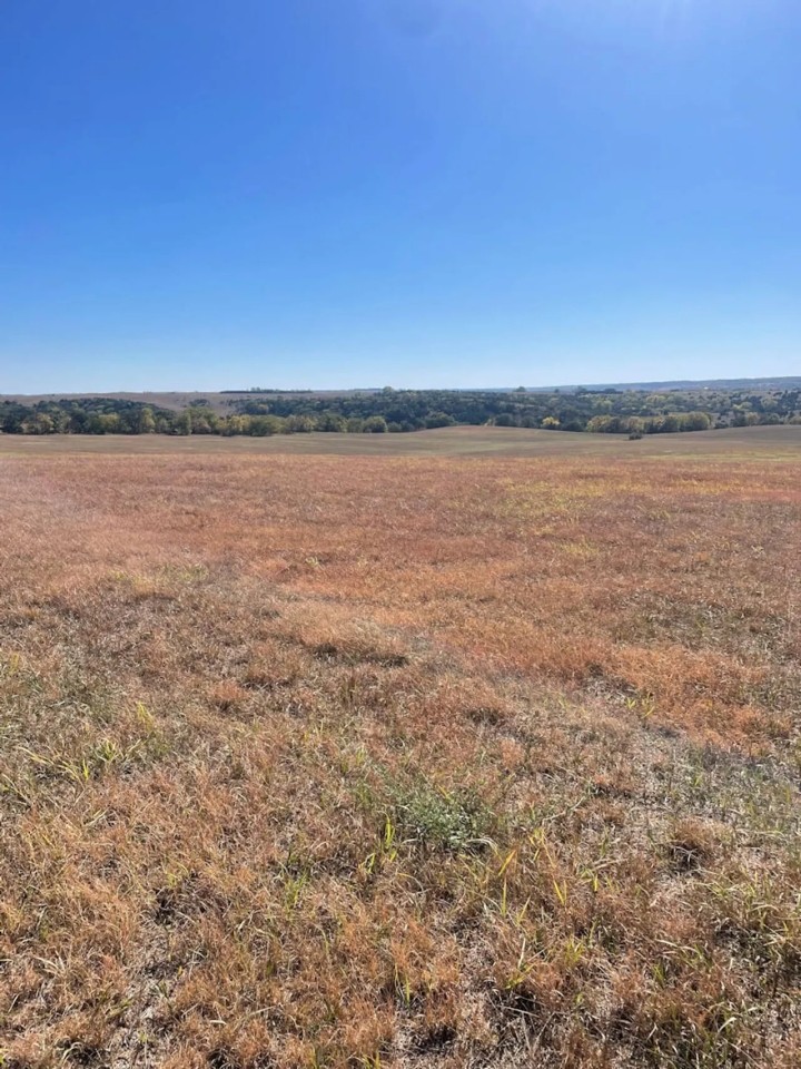 80 Acres Knox County Nebraska Hunting Land for Sale