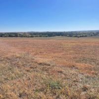 80 Acres - Knox County Nebraska