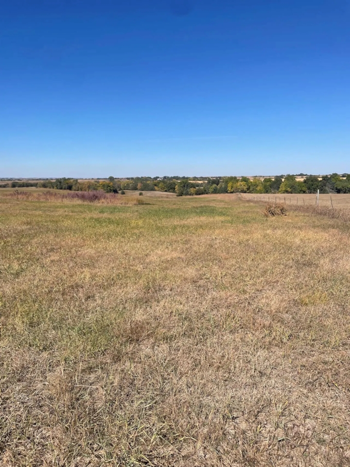 80 Acres Knox County Nebraska Hunting Land for Sale