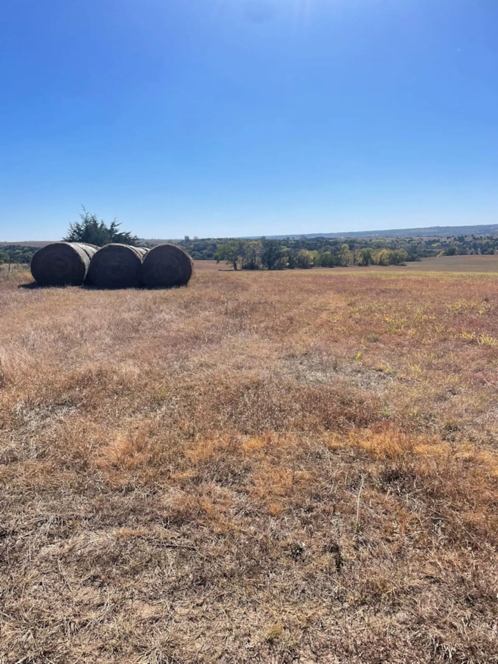 80 Acres Knox County Nebraska Hunting Land for Sale