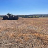 80 Acres - Knox County Nebraska images 3