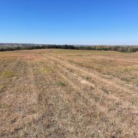 80 Acres - Knox County Nebraska images 4
