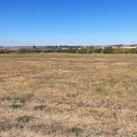 80 Acres - Knox County Nebraska images 5