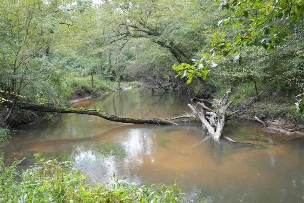34 Acres Waterfront Property South Mississippi with Cabin featured image