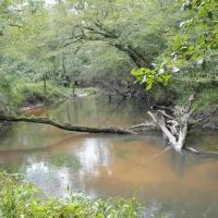 34 Acres Waterfront Property South Mississippi with Cabin