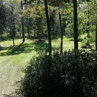 34 Acres Waterfront Property South Mississippi with Cabin images 3