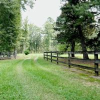 34 Acres Waterfront Property South Mississippi with Cabin images 4