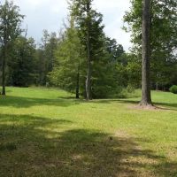 34 Acres Waterfront Property South Mississippi with Cabin images 5