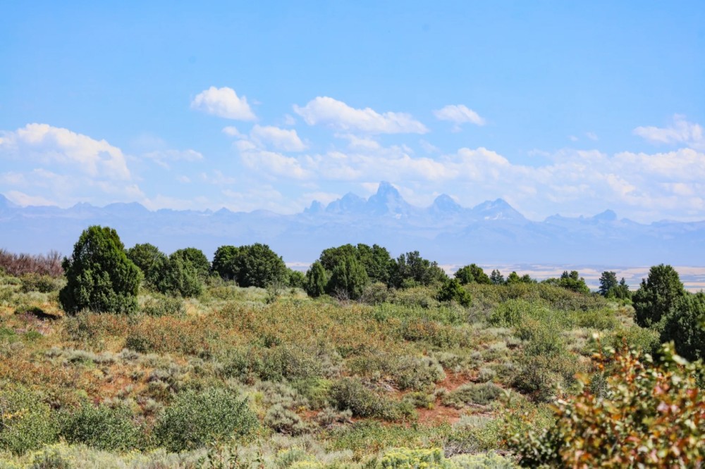 Ashton Ranch featured image