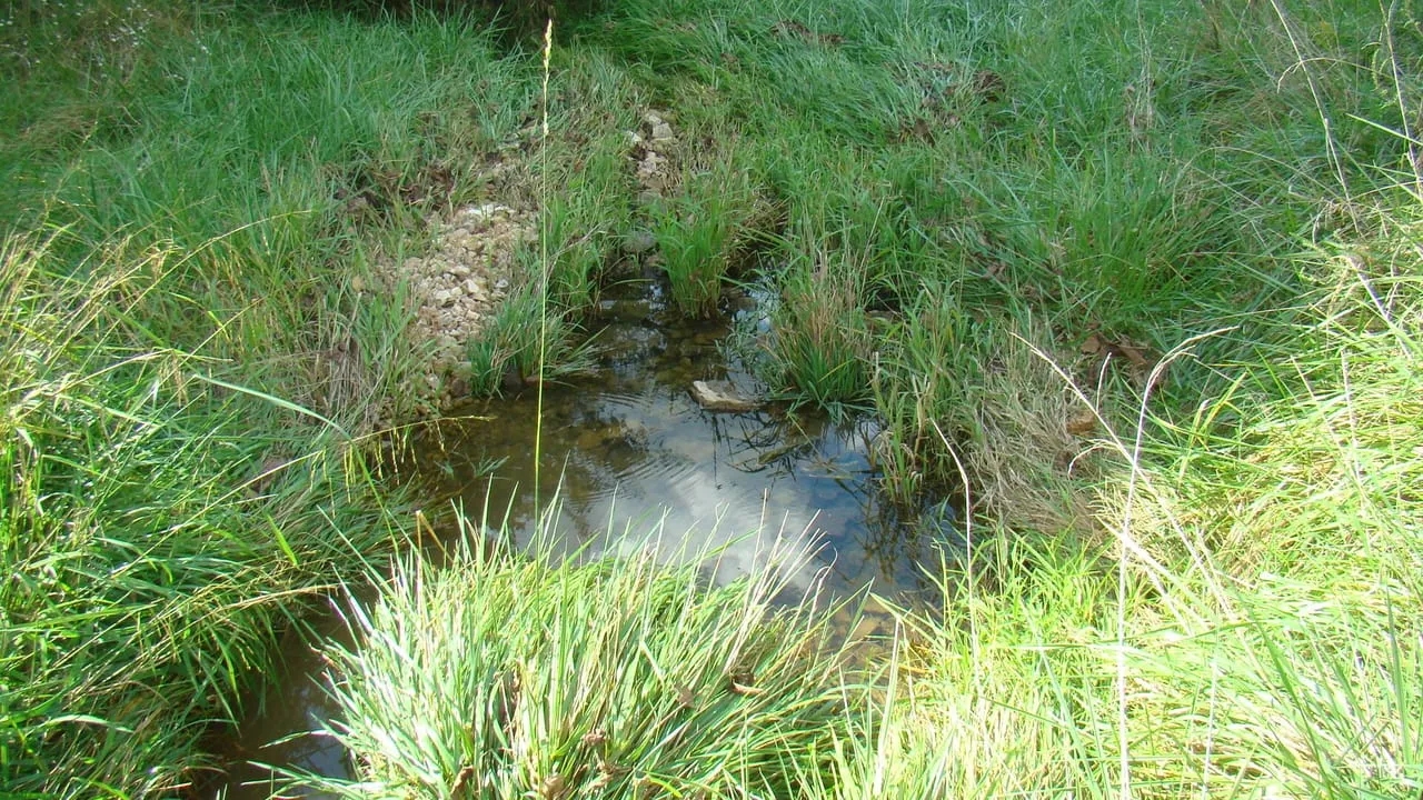 40 Acres Joins Mark Twain National Forest Springs Rolling Hill Great