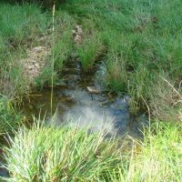 40 Acres Joins Mark Twain National Forest Springs Rolling Hill Great Views Paved Road Frontage. Wright County