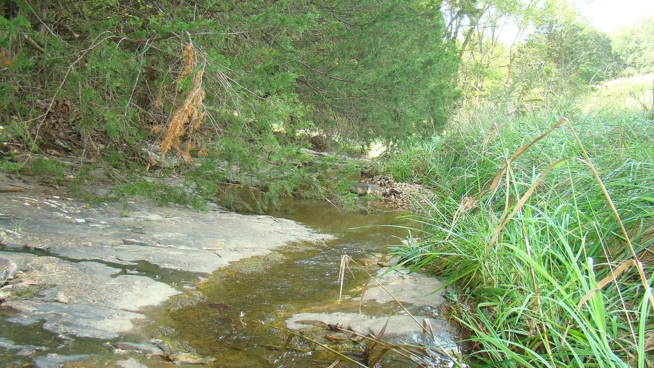 40 Acres Joins Mark Twain National Forest Springs Rolling Hill Great