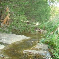 40 Acres Joins Mark Twain National Forest Springs Rolling Hill Great Views Paved Road Frontage. Wright County images 2