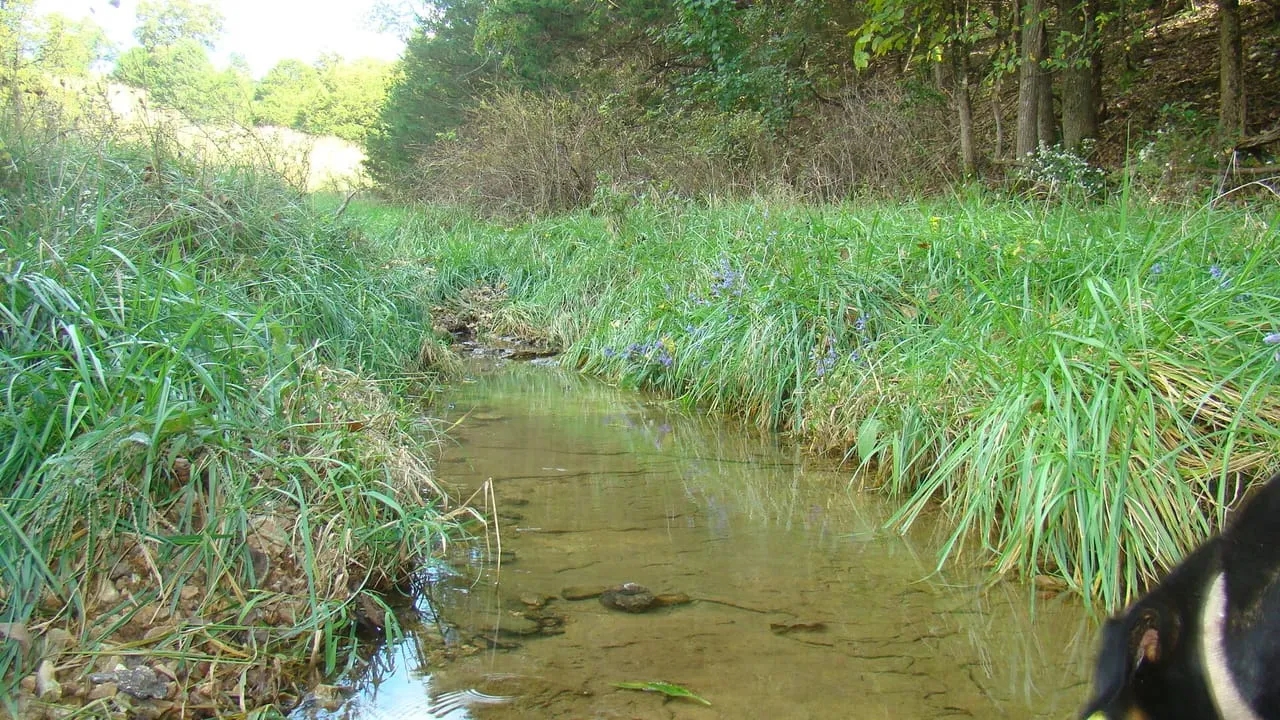 40 Acres Joins Mark Twain National Forest Springs Rolling Hill Great