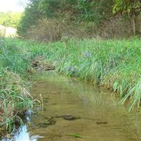 40 Acres Joins Mark Twain National Forest Springs Rolling Hill Great Views Paved Road Frontage. Wright County images 3