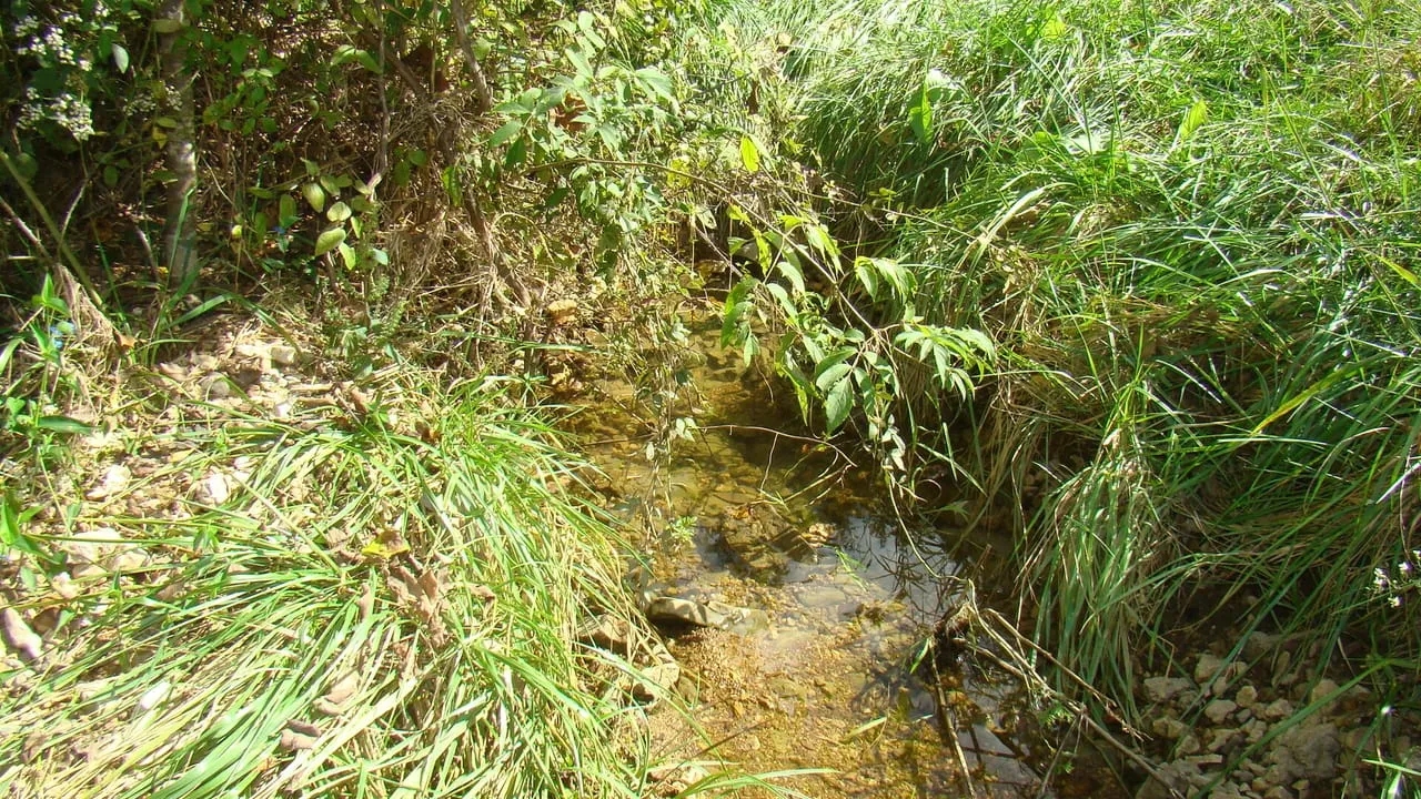 40 Acres Joins Mark Twain National Forest Springs Rolling Hill Great