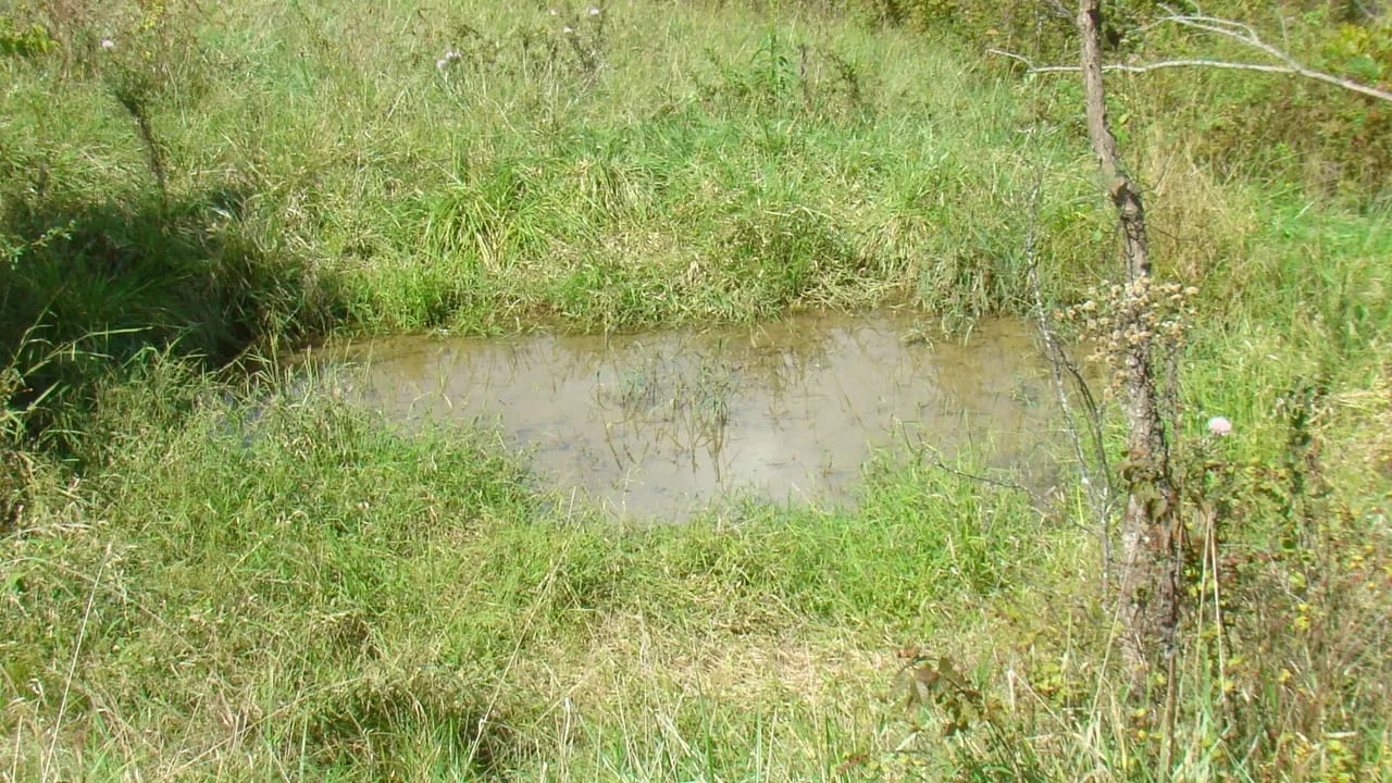 40 Acres Joins Mark Twain National Forest Springs Rolling Hill Great