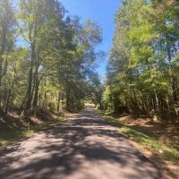 6 acres in Salem School District-Walthall County MS images 2