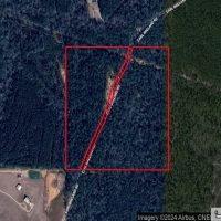 The Ideal 40 Acres