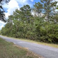 The Ideal 40 Acres images 3