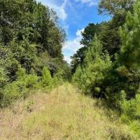 The Ideal 40 Acres images 4