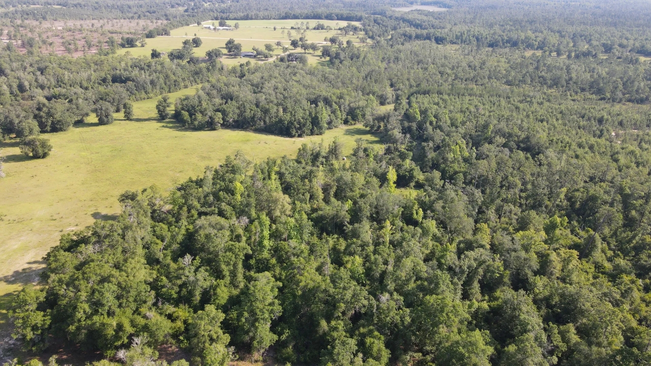 Sampson Farm Recreational Tract 573 Ac Jackson County FL Hunting